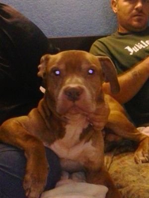 Ladyjk1973Jenn's profile picture. 