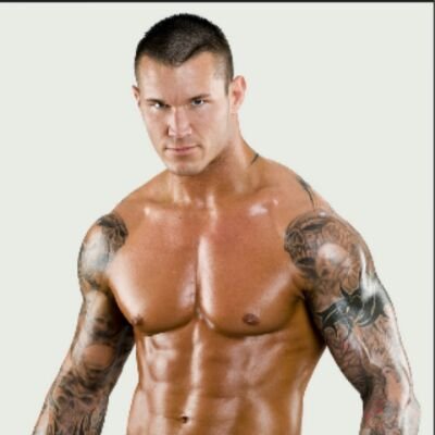 12 Times WWE Champion and The best WWE Superstar. Randy Orton/ a.j lee