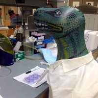 Glazer Lab (@glazerlab) 's Twitter Profile Photo Glazer Lab (@glazerlab) 's Twitter Profile Photo