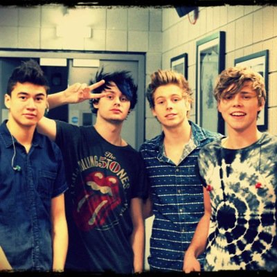 (Btw if you follow me with a 5sos account or RT the link below, i'll follow you because ALL 5sos fans are hot)