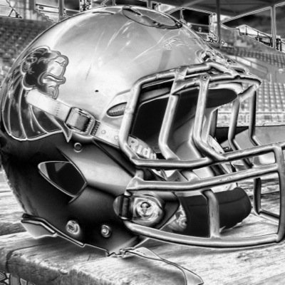 newyorker-lions.de
