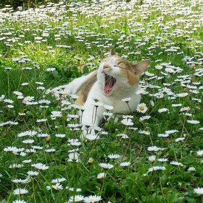 if ur reading this it means ur alive right now!! and thats so good! im proud of u!!
https://t.co/SXUy8Hpt5P