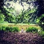 Instagram Page: @ naurepuree