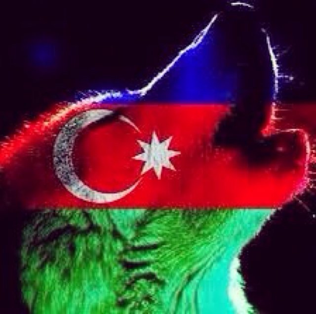 lamia_vitaa's profile picture. 