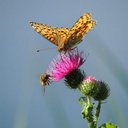 Ben Hauser - @hipsterboat - Twitter