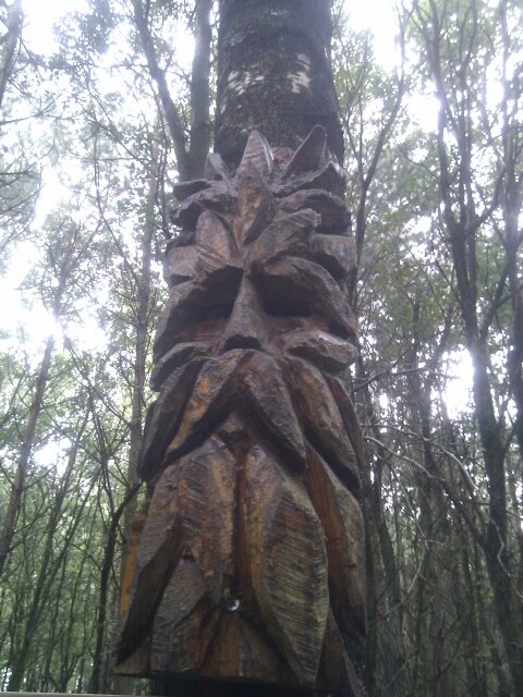 zsanderz's profile picture. Enjoy our trip on this spaceship, keep it clean for passengers following up and let them enjoy their ride! Plants and animals are passengers not dead weight..