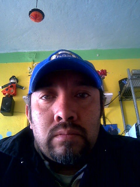 lic. en derecho