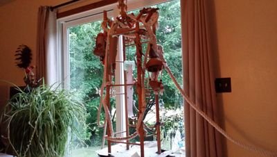 borgini_joseph's profile picture. been dead for 2 years