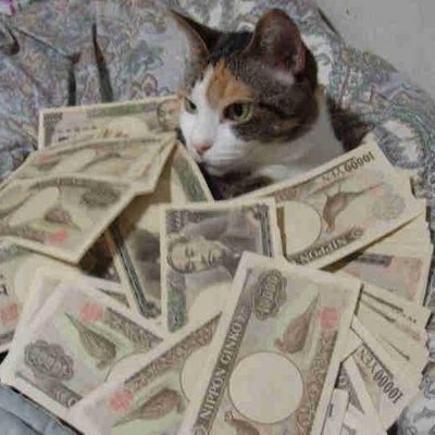 お金がどんどん入ってくる方法 Sugasatokenta Twitter