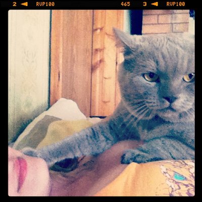 Profile Picture of Carl Terry (@redding2355) on Twitter