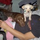 Bruno Brun - @bruletx100pre33 - Twitter