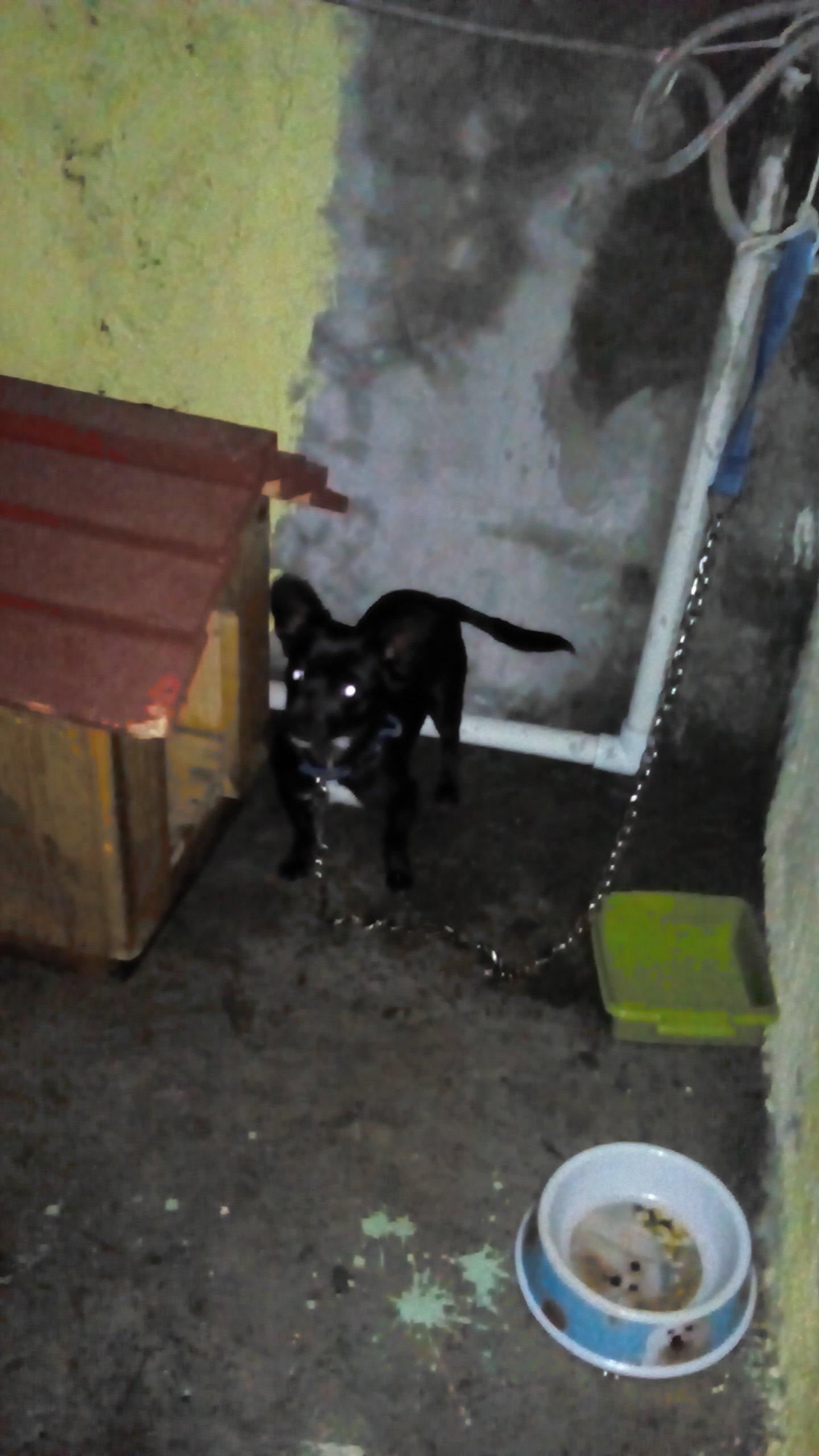 celilupita's profile picture. 