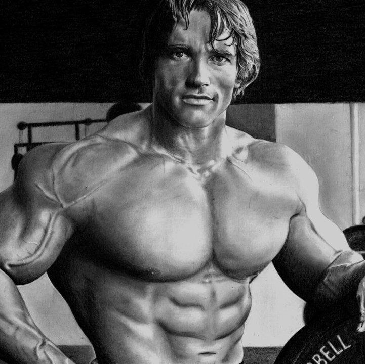 Collection 28+ Wallpapers arnold schwarzenegger bodybuilding wallpapers posters and pictures Excellent Collection 28+ Wallpapers arnold schwarzenegger bodybuilding wallpapers posters and pictures Excellent