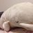 taichi44's profile image