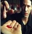 I Follow Back 100%! The answer is out there! Follow @M_G_W_V @MxGxWxV @_o_DOGFATHER_o_ @mgepfrey