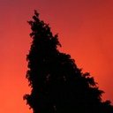 Jeff Bourland - @Jasper7230 - Twitter