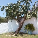 Dario Guzman - @darguz87 - Twitter