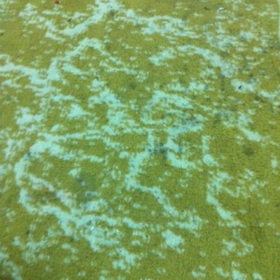 1_s______'s profile picture. @safarhz