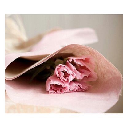 exa1400048's profile picture. تسامحوا فرحلة الحياة قصيره وتقاربوا فالعمر لحظه وسنرحل كلناونختلف في الرحيل فيارب أحسن خاتمتنا وخذنا إلى جنتك (محبه للقراءاة والابحار في عالم الخواطروناقلة لها)