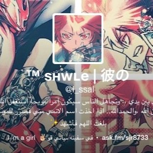 shwleshwle Profile Picture