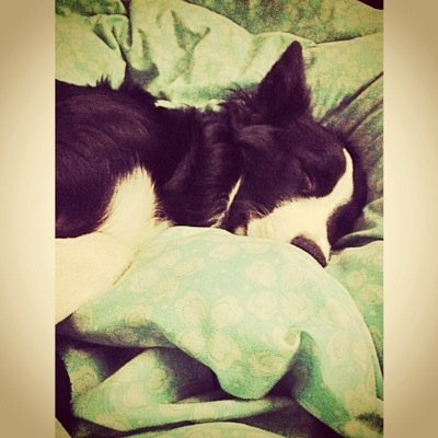 HayleeyyMariiee's profile picture. . IG- hayleeyymariiee New twitter @Hayleymariieex