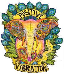 - Livin' free with nothin but positive vibes - Midwest ✌️