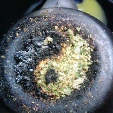Submit pics of what your smokin or you smokin and ill post them randomly via DM #GanjaGod
Follow @StonerPicsDaily