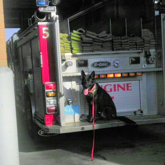 Worcester Mass. Fire & Crime - Scanner Reports & Retweets