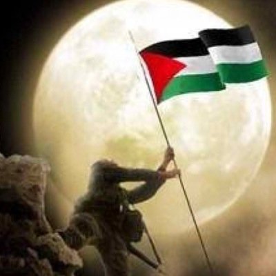 palestinan blood, save my holy land