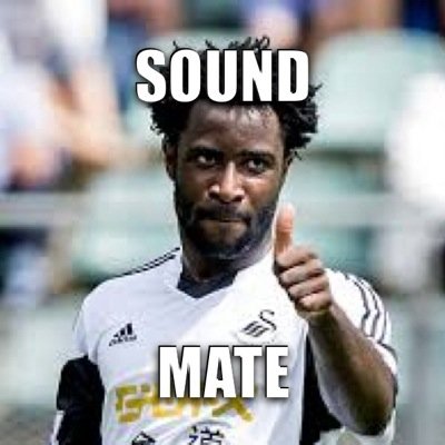 **NOT AFFILIATED WITH WILFRED BONY OF SWANSEA CITY IN ANYWAY**PARODY ACCOUNT** Cum on Wulfred Buny!