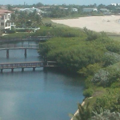 CalleHomero's profile picture. 