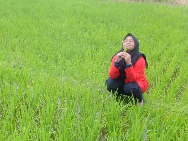 Allah SWT:* |Family :*|Amburaduls :* |''PSIKOLOG''| 'Proses'|amiin