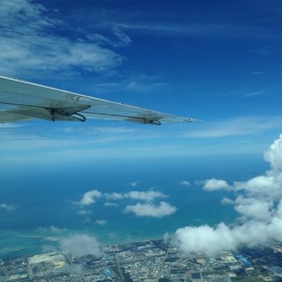 pommelaw's profile picture. 