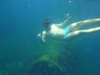 wagnermaia's profile picture. 