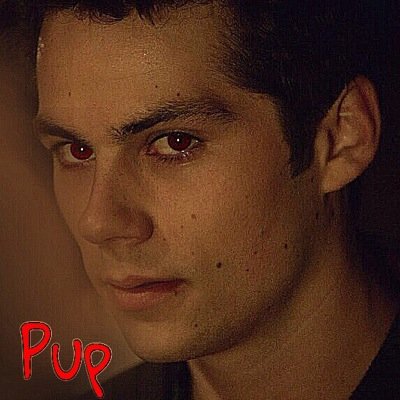 |;What now?;| [|RP~TW~Alpha!Stiles~Bi|]