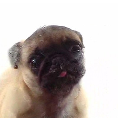 hi !!