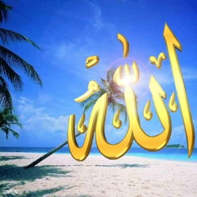 ibn121patel's profile picture. 