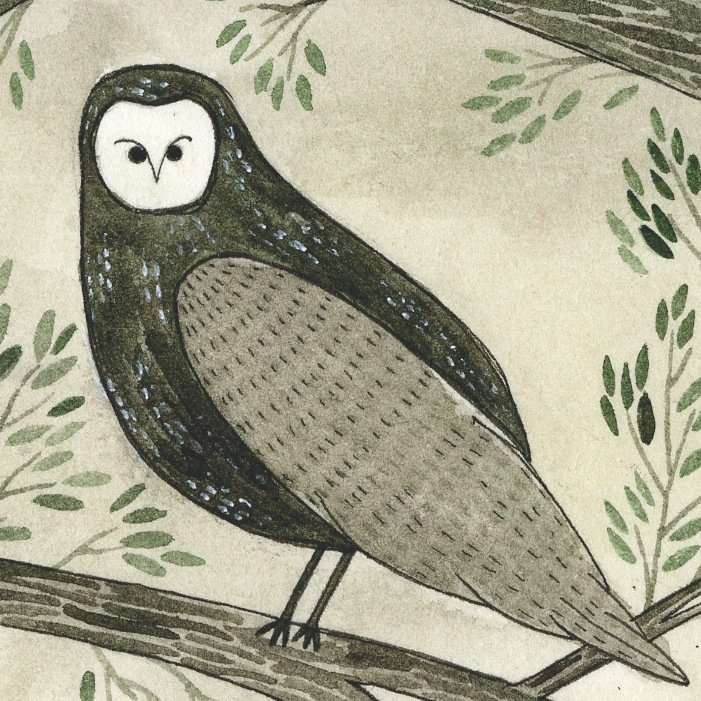 Dorothy, a publishing project Profile