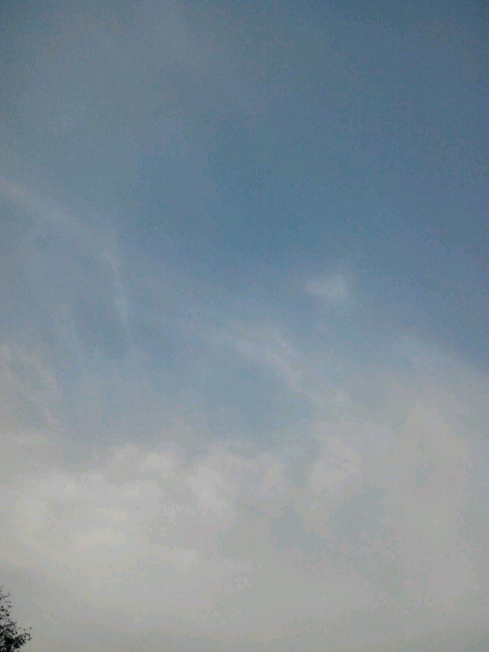 amin17815285's profile picture. 