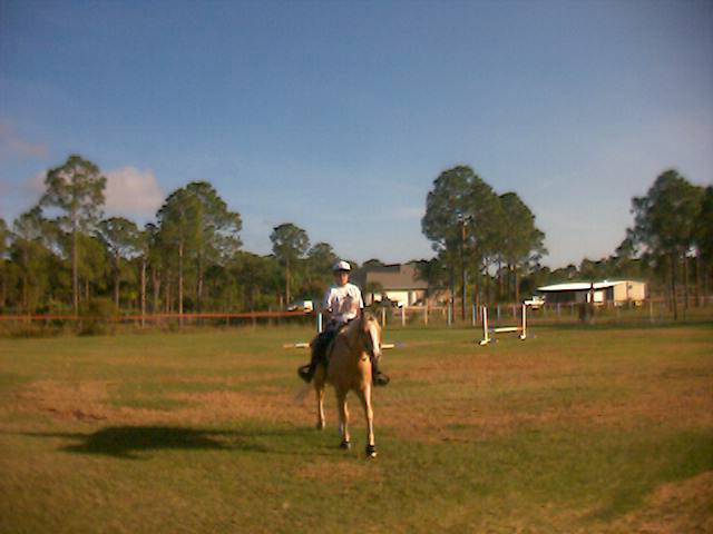 CindySales's profile picture. Rebuilding the wealth after Washington destroyed it :)