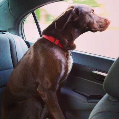 kldobberke's profile picture. 