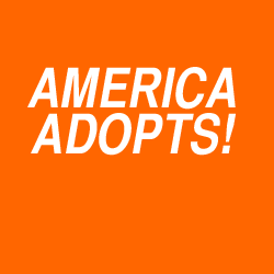 AmericaAdopts Profile Picture