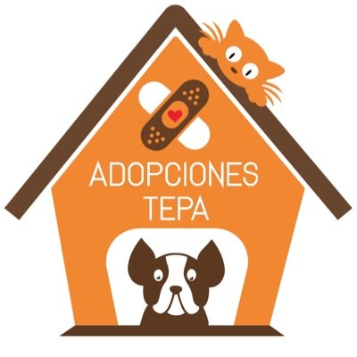 En adopciones Tepa nuestro objetivo es ayudar a perros y gatos callejeros, rehabilitarlos y encontrar un hogar definitivo. Esteriliza, adopta, no compres.