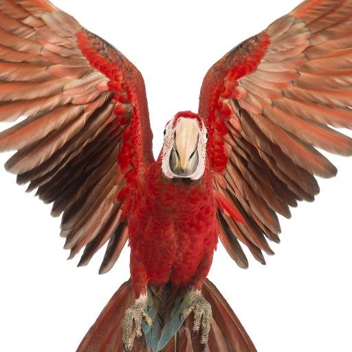 kazamishin2013's profile picture. この世界を変えていくぜ！みんな俺に付いてこい。Follow Me!