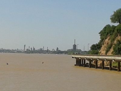 marcelogmarino's profile picture. 