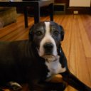 Katrina Hardwick - @KatrinaHardwick - Twitter