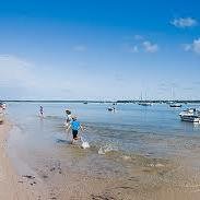 manduwuy1's profile picture. 