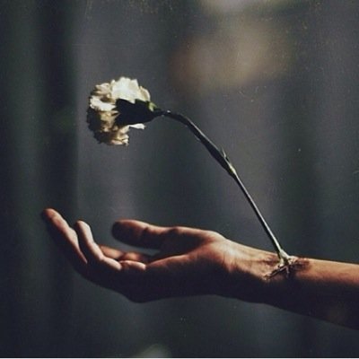 وَتَبْقّى آلكتَابْه ؛ نَدآءٌ دوَنّ صَوتْ ، ♡