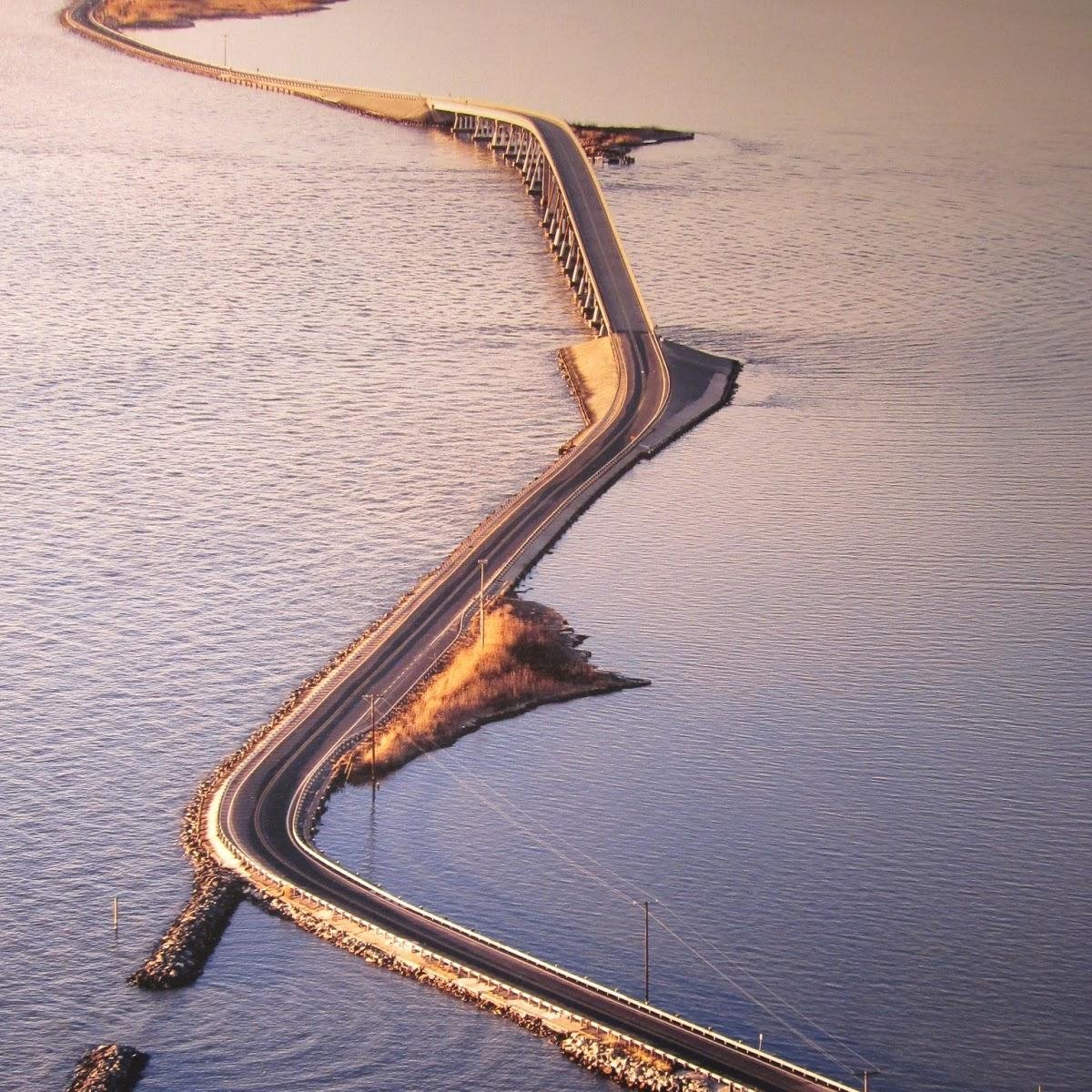 johnt2k7's profile picture. any thing with a motor