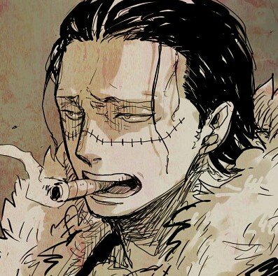 I ate the suna suna no mi and I'm am a former warlord